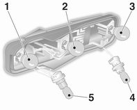 5. Glühlampe herausnehmen und